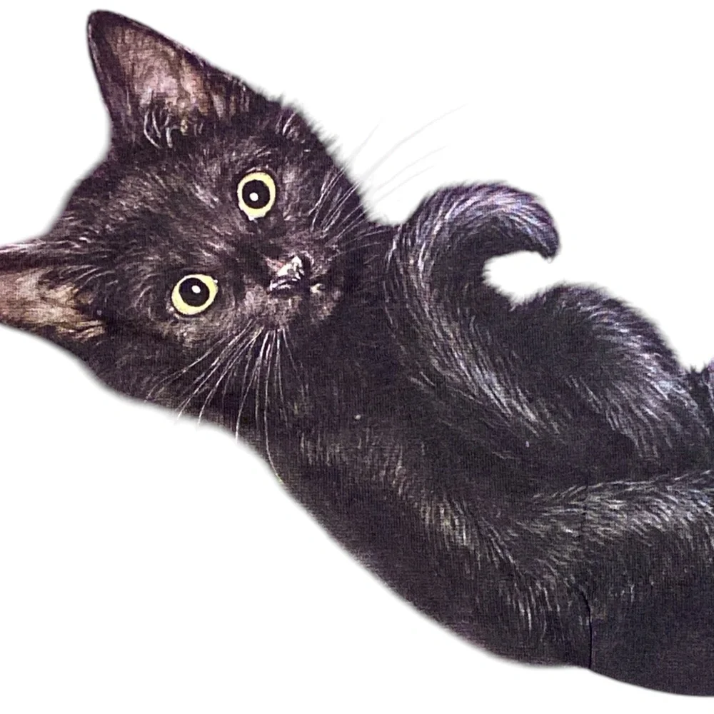 The Mountain Purple and Black Cat Relaxation Graphic Shirt
